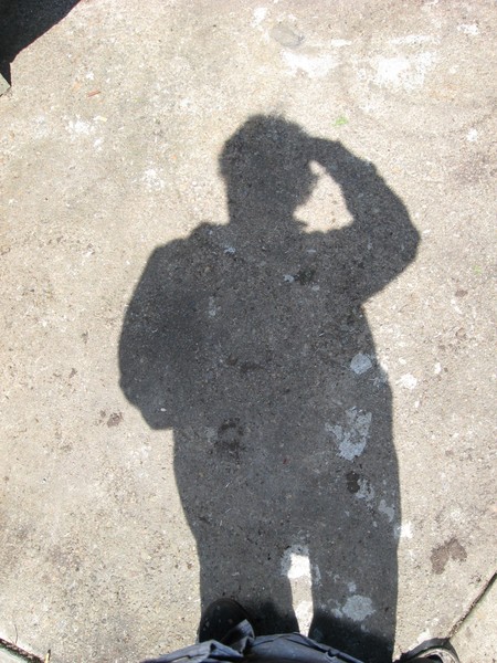 Self-portrait