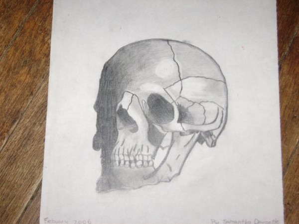 Skull1