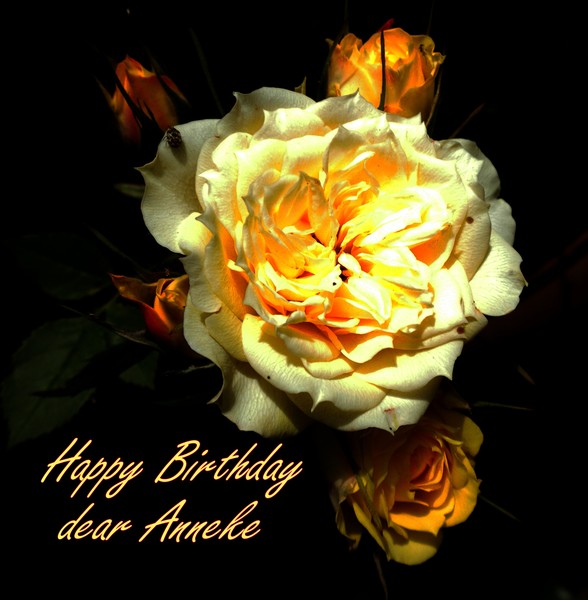 Happy Birthday Anneke