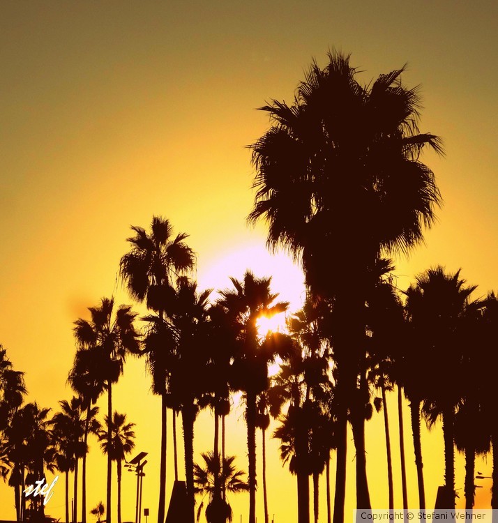 Californian sunset