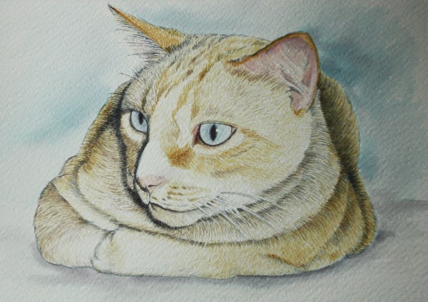 Portrait of Paris