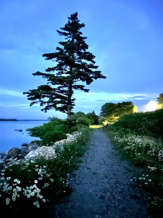 Lockeport Nova Scotia Trestle Trail.