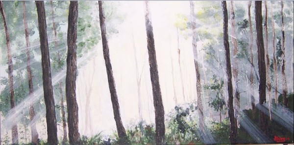 Forest magic
