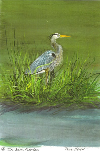 Blue Heron