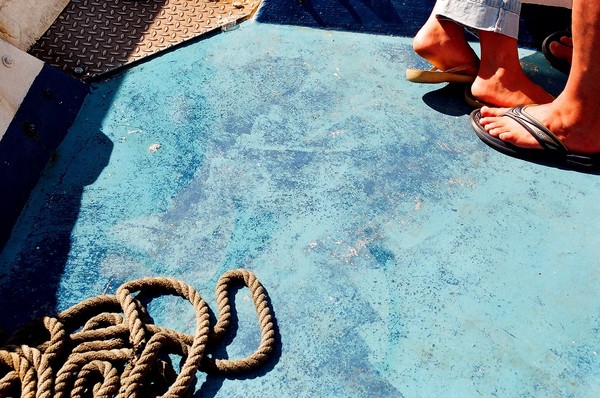 Piedi
