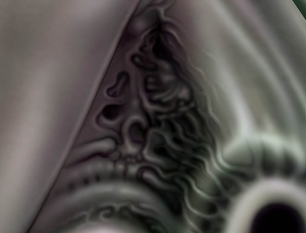 2nd detail: no title yet