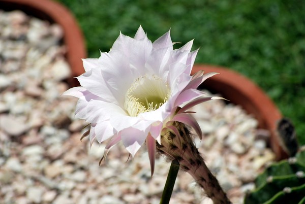 Nikon_08122009_4474