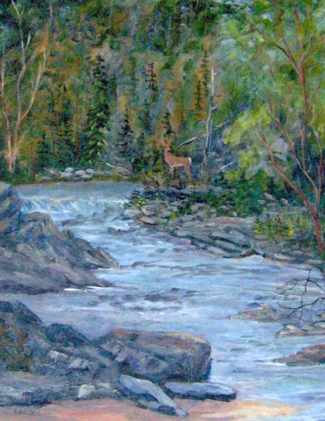 Quiet Nature