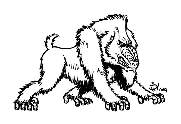 Big Mandrill
