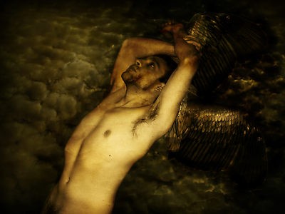 Icarus 2