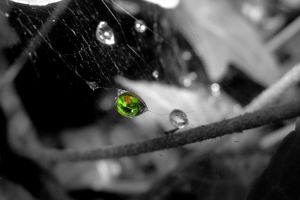 HOPE