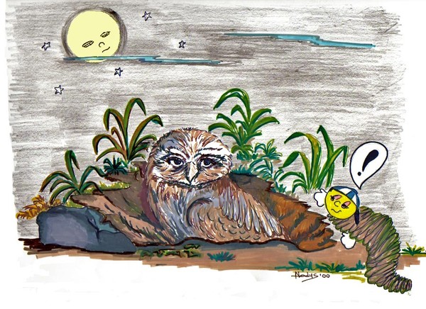 Guzz and owl