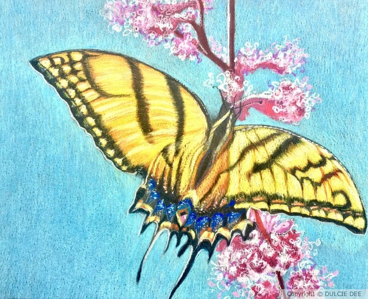2 TAILED SWALLOWTAIL PAPILLON