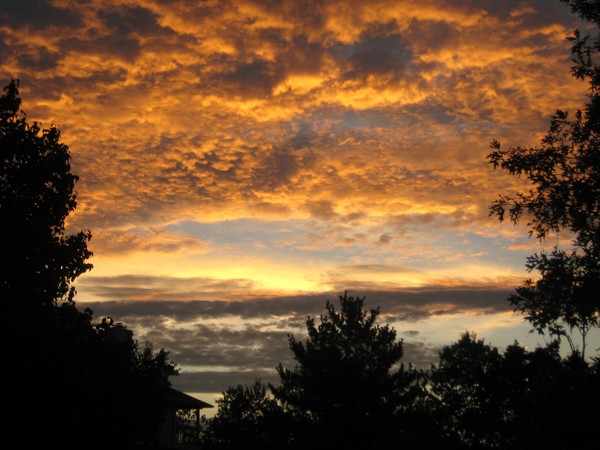 Orange Sunset 