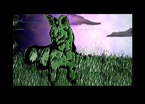 Wild Cat