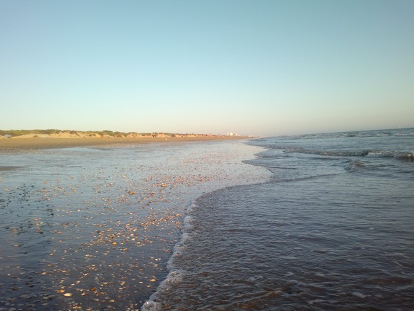 Agua y arena