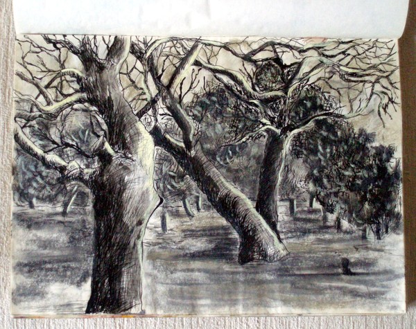 from my sketch-book