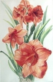 AMARYLLIS by Jan Szabo