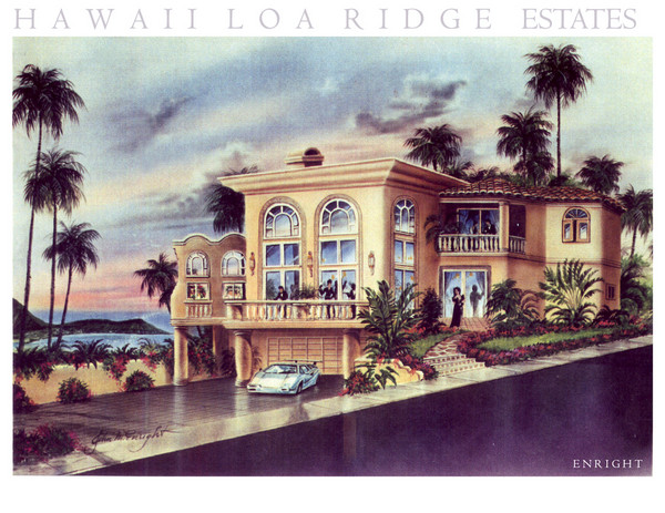 Hawaii Loa Ridge Estate Home 2
