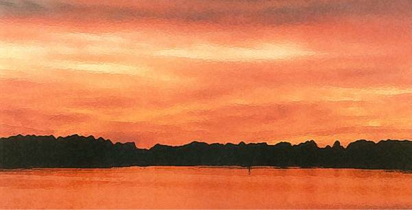 savannah sunset