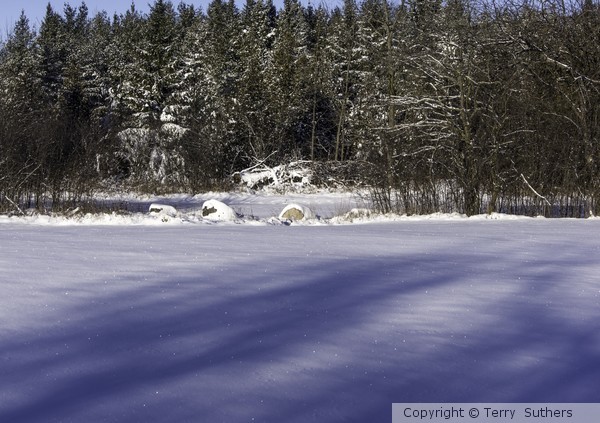 Mountsberg Conservation Area