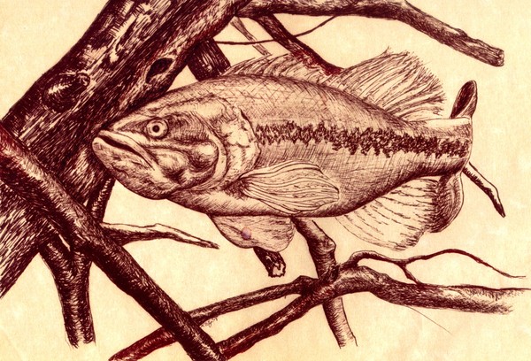 Small Mouth