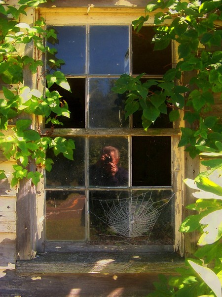 Self Portrait
