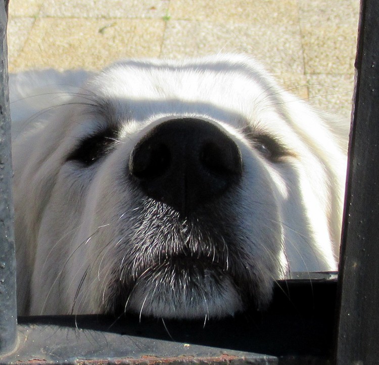 WHAT DO YOU WANT ???