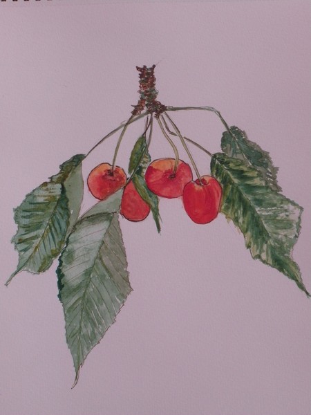 grappe'cherrys