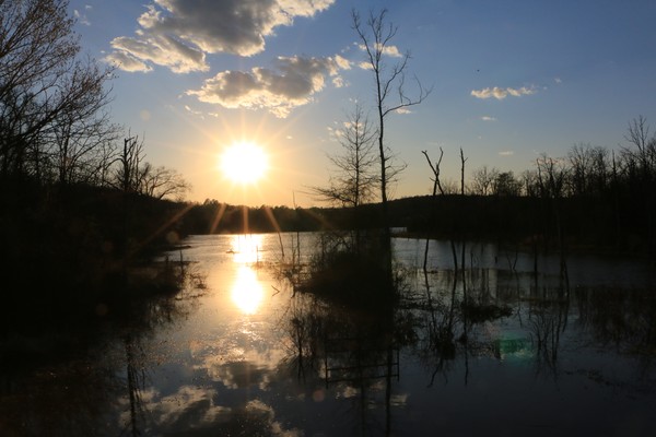 Sunset on the Lake