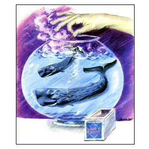 Pet Whales