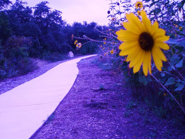 Take a look at your surroundings