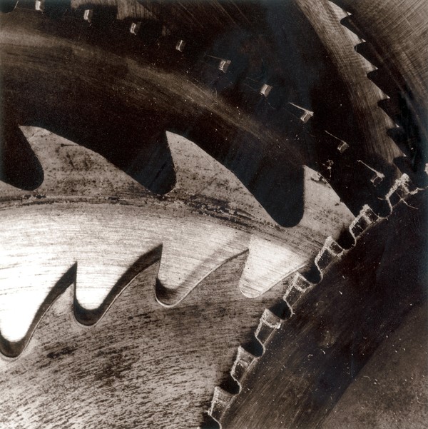 Saw Blades #1