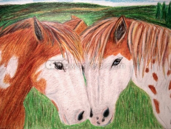 Country Love