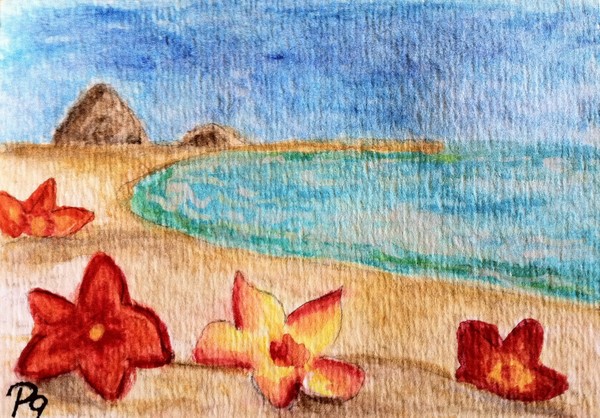 Hibiscus Beach