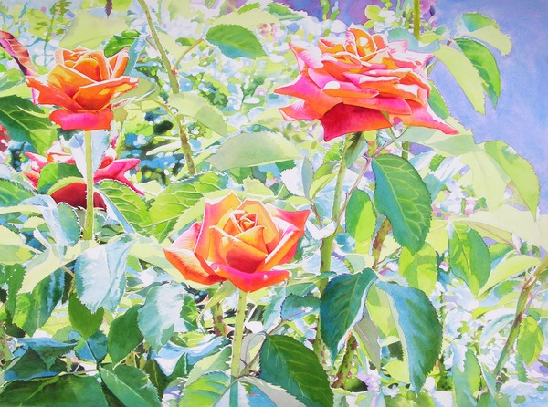 ROSES by JOHN