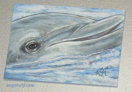 Dolphin Smile ACEO