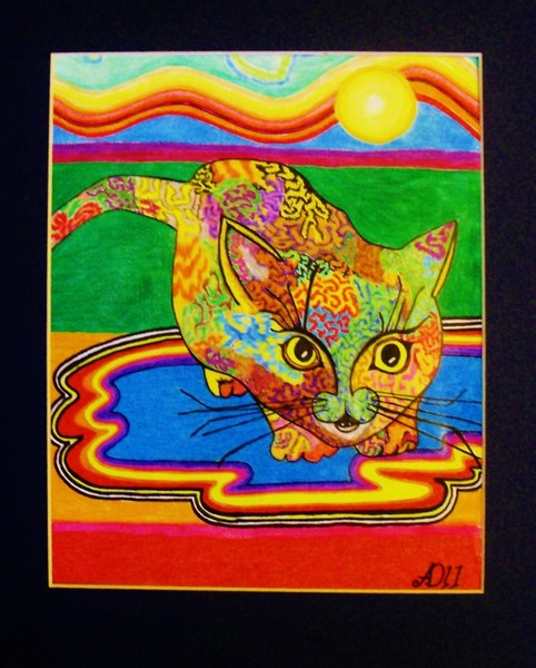 Cat in a Puddle by Anthony Davais (643x800)