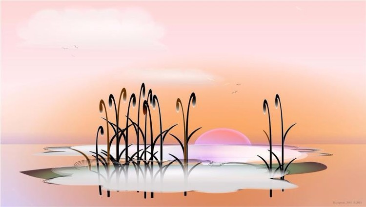 At Dawn
