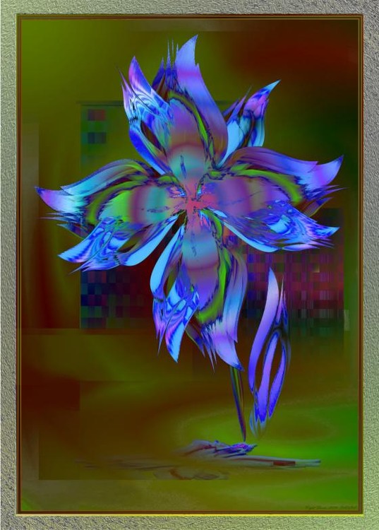 Night Flower