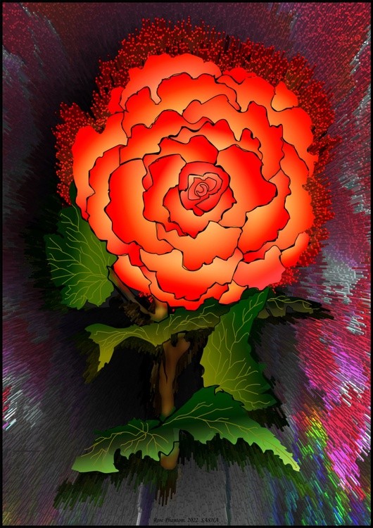 Rose Phantom