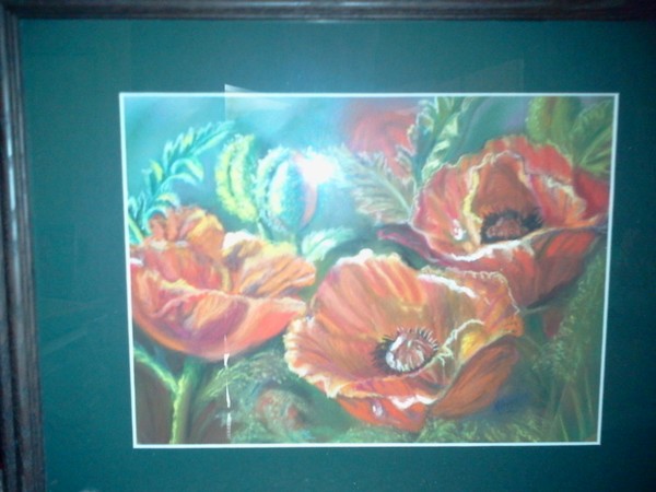 Poppies