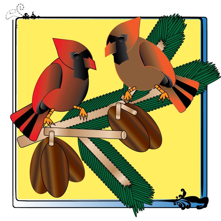 Cardinal-2