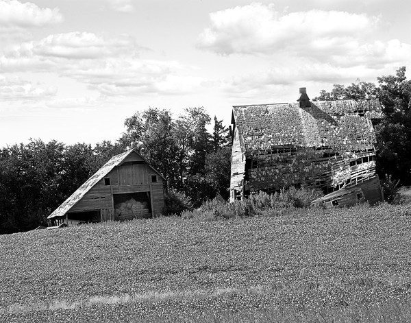 Black and White Barn 2