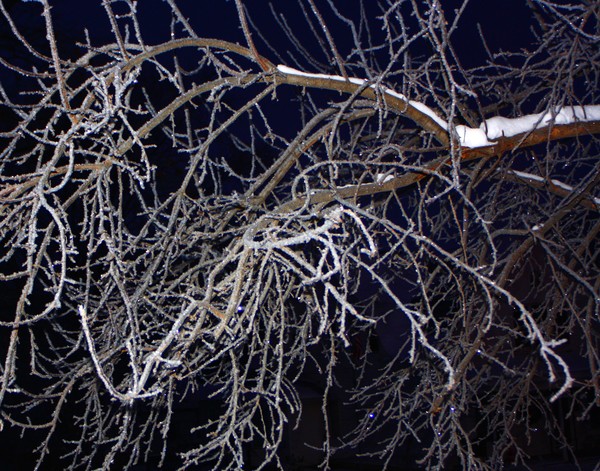 Cold Abstract, ne1051