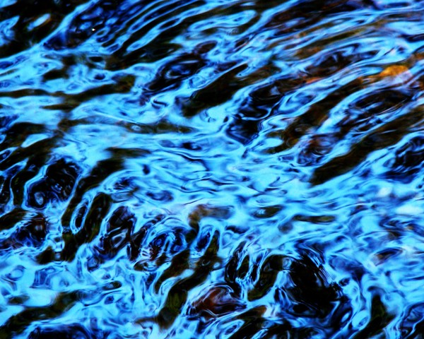 Natural Reflections 180 11x14 Print