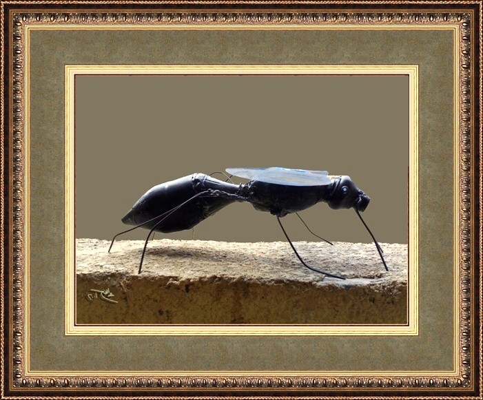 Mosquito