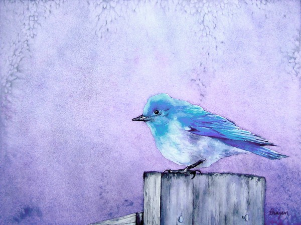 Bluebird Bliss