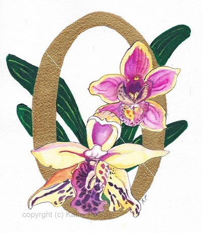 O is for Orchid