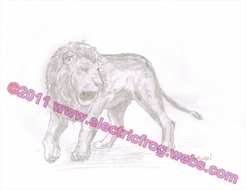 Lion